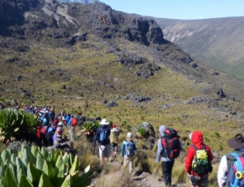 6 Days Mt Kenya Trek Sirimon – Chogoria Route Climb
