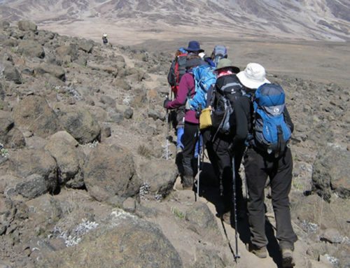 7 Days Mount Kilimanjaro Climbing – Rongai Route