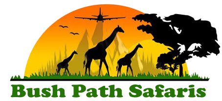 Bush Path Safaris Logo